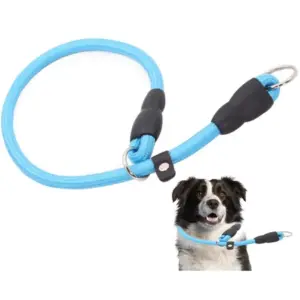 coleira de nylon ajustável para cães