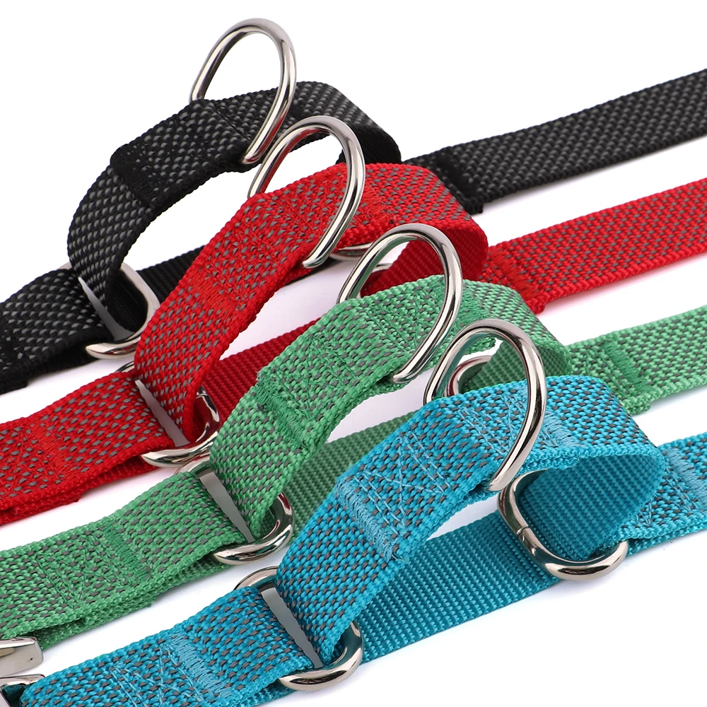 Coleira Martingale para Cães Nylon Reflexiva Ajustável - Imagem 3
