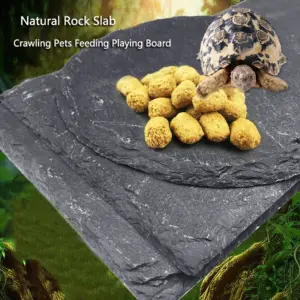 plataforma de pedra natural para répteis