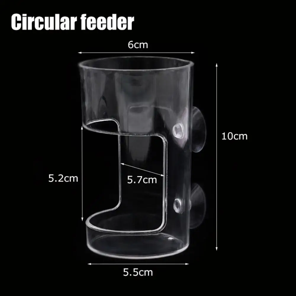 Anel Alimentador de Aquário Redondo com Ventosa Transparente - Imagem 4