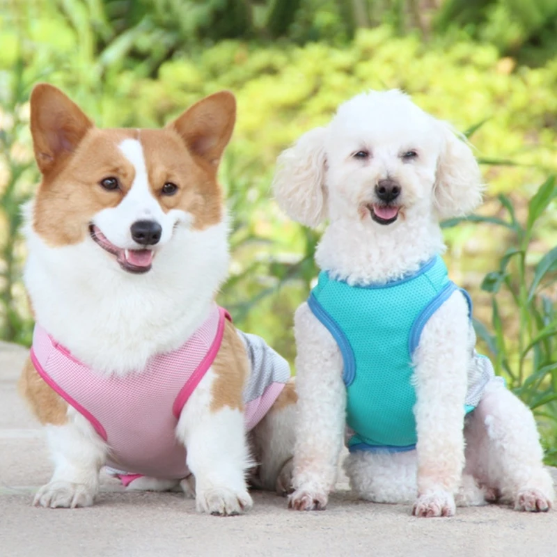 Colete de Resfriamento para Cães com Faixa Refletiva para Passeio - Image 3