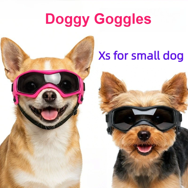 óculos de sol para cães pequenos