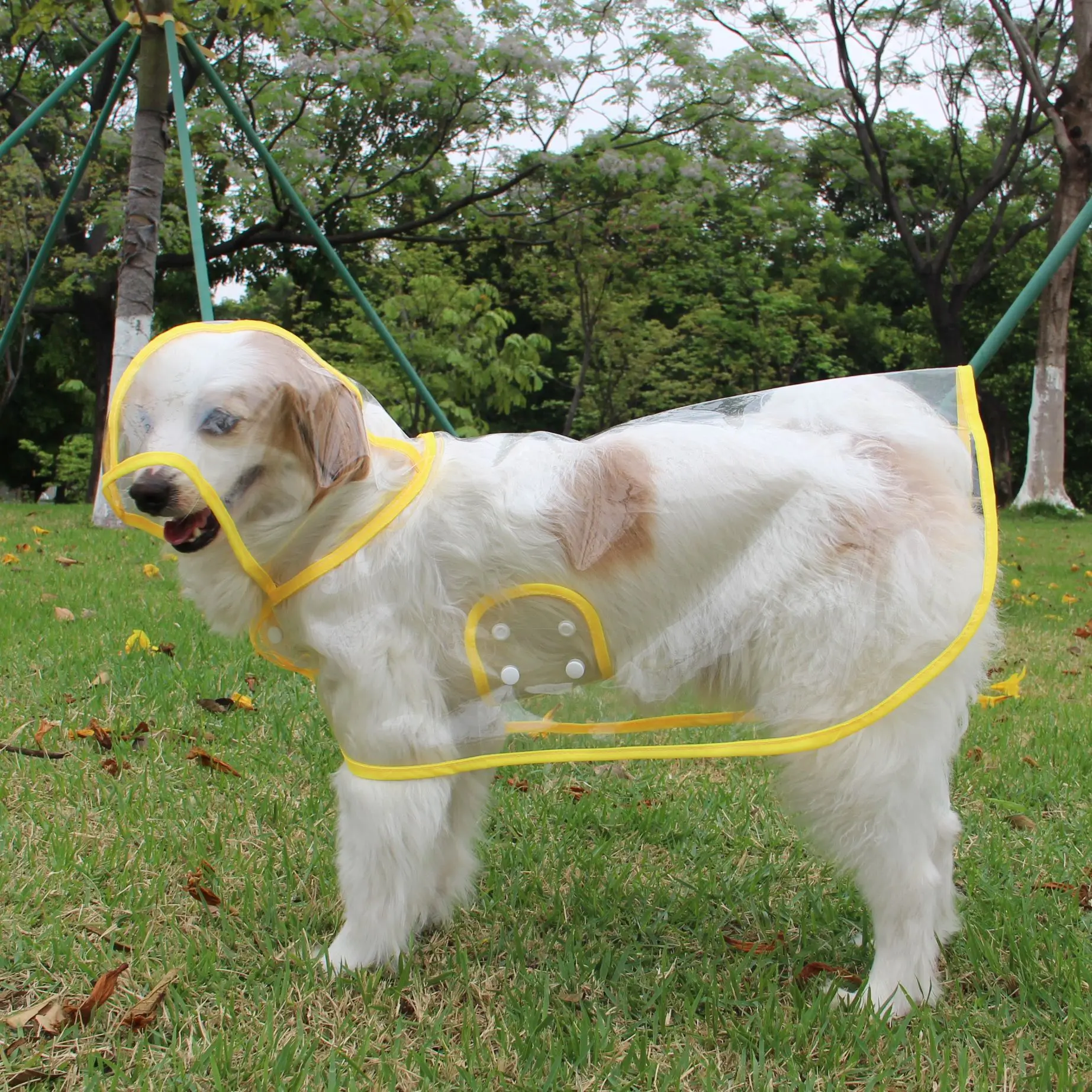 Capa de Chuva para Cães Grandes Transparente com Borda Colorida - Image 5