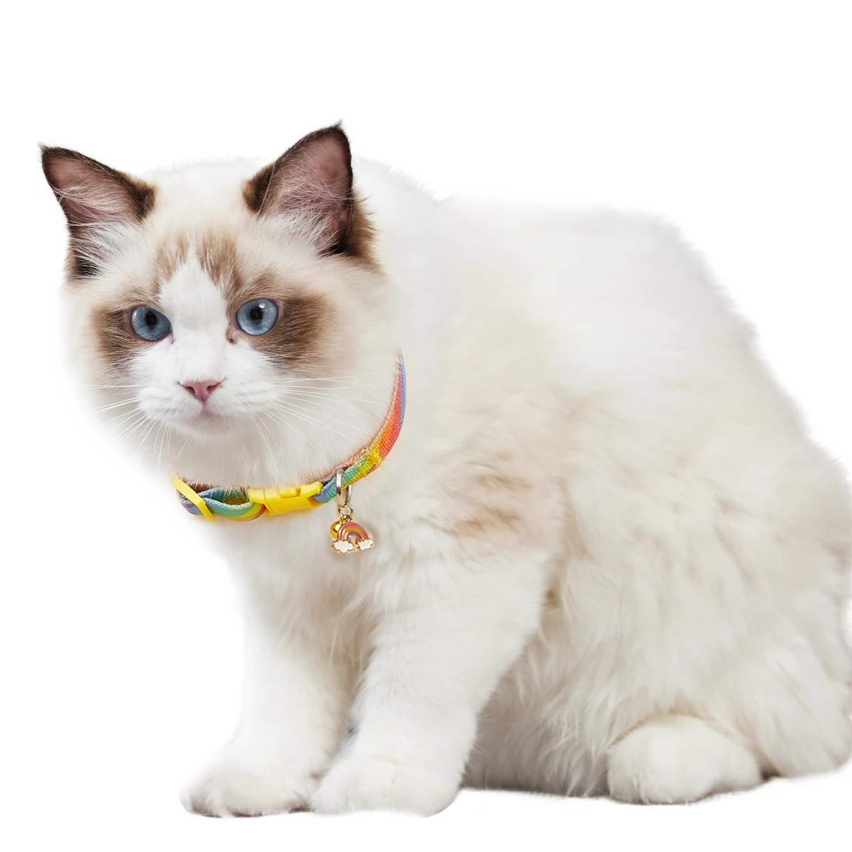 Coleira Decorativa Ajustável para Gatos e Cães Pequenos com Sino - Imagem 6
