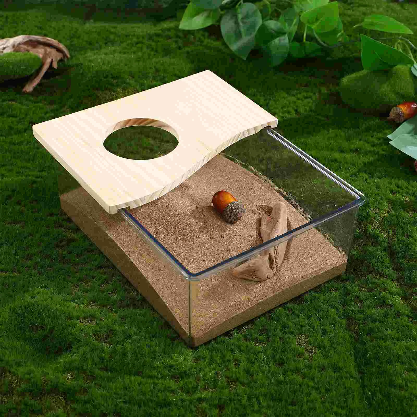 Sandbox de Acrílico para Hamster 20x15x8 cm com Superfície Lisa para Limpeza Fácil - Imagem 2