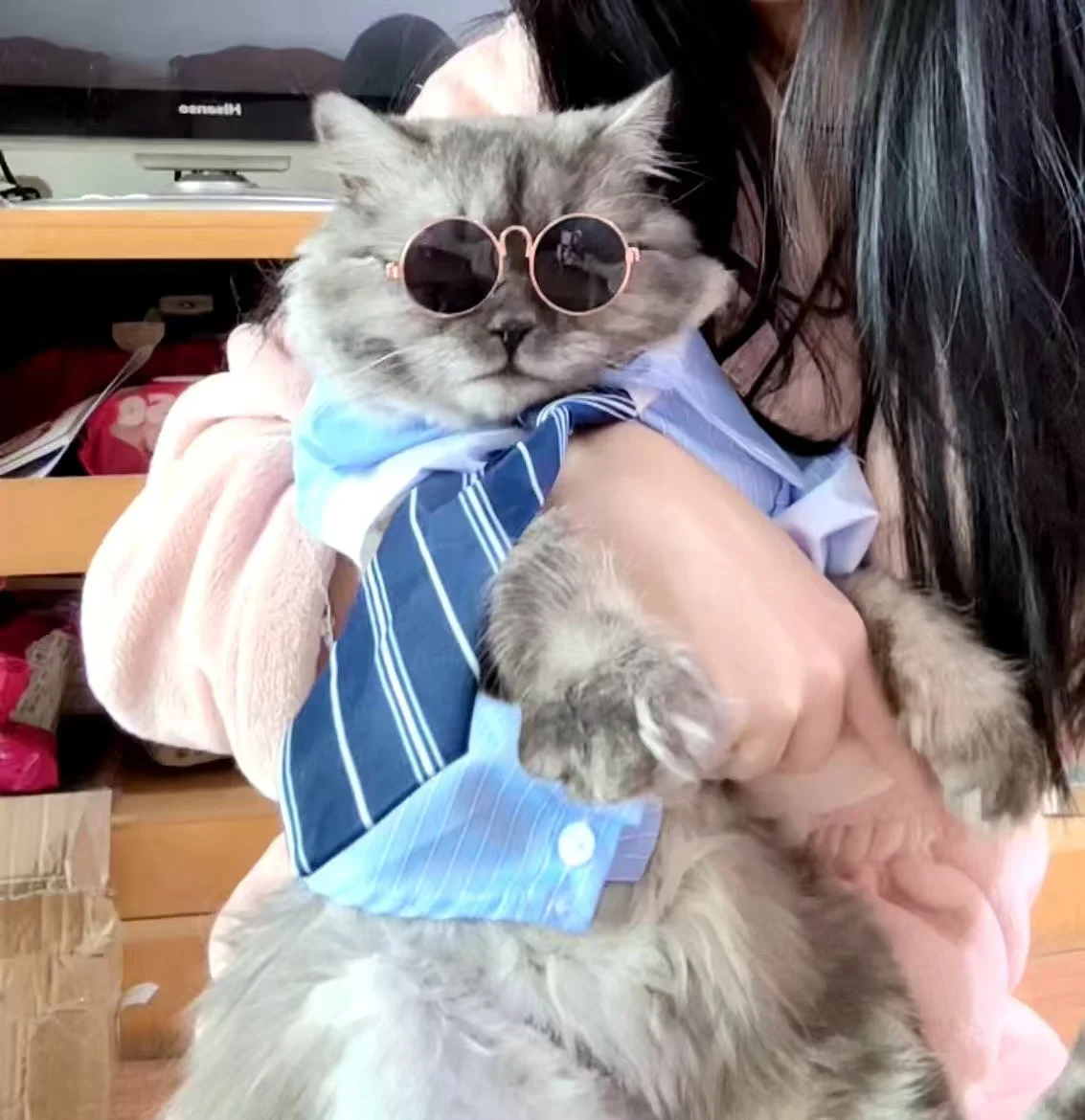 Camisa para Cães e Gatos Pequenos de Algodão, Estilo Casual Xadrez - Image 6
