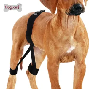 faixa ortopédica para cães de poliéster