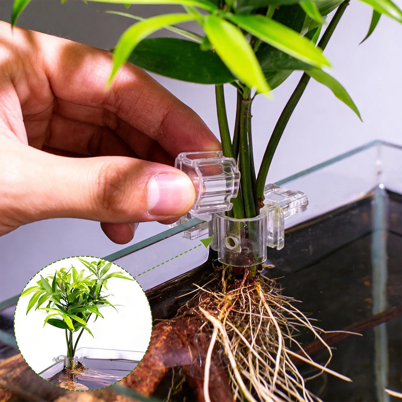 Suporte para Plantas de Aquário Transparente, Kit 6 Peças, Pendurável - Imagem 2