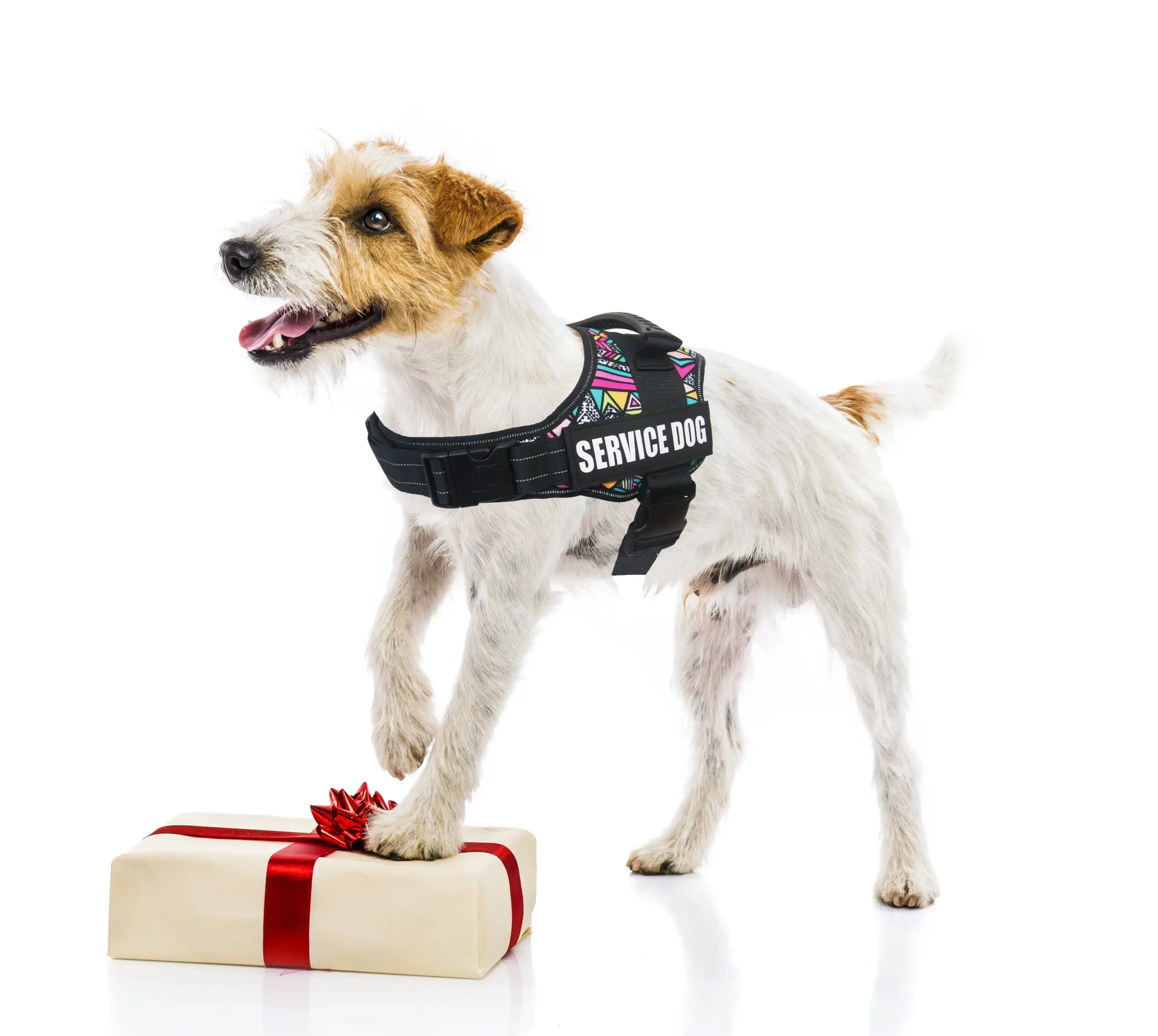 Coleira Peitoral para Cães com Faixa Refletiva e Patches Removíveis - Image 6