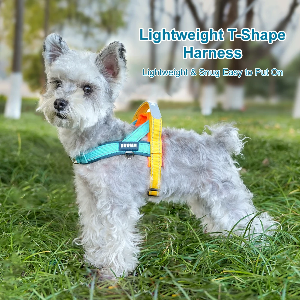 Coleira Peitoral para Cães Pequenos e Médios Refletiva com Alça - Imagem 6