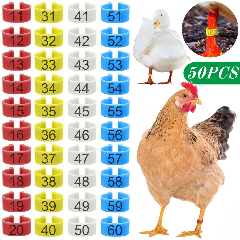 anéis de identificação para aves 1.6cm