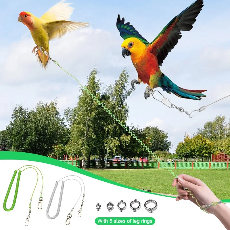 Corda de Treinamento para Pássaros Ajustável Verde Universal - Imagem 2