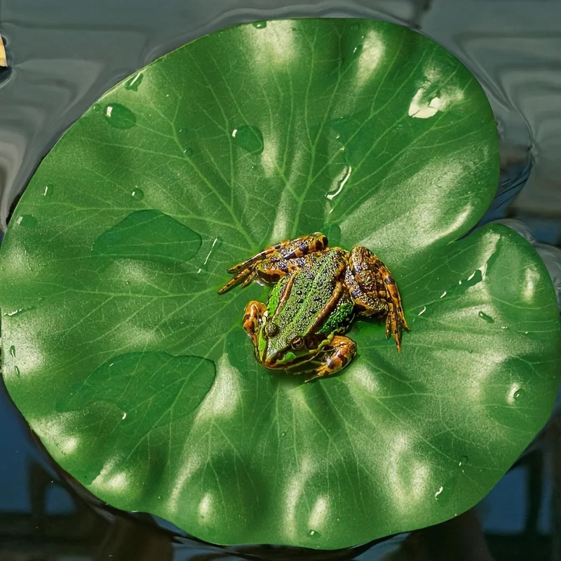 Lírios Artificiais para Lago e Aquário 8 Peças de EVA Flutuante - Imagem 5