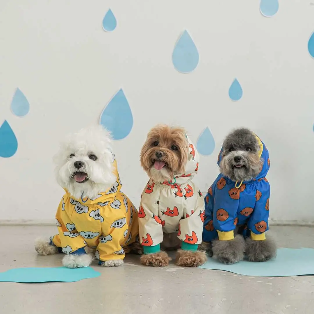 Capa de Chuva para Cães Pequenos Impermeável com Arnês Integrado - Image 2