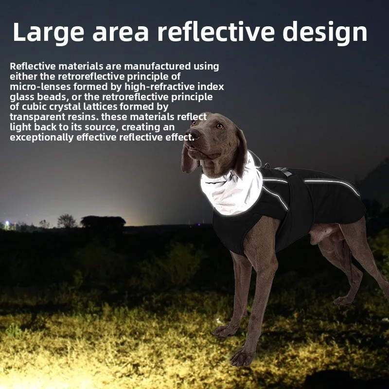 Jaqueta Impermeável para Cães com Tiras Refletivas e Anel D - Imagem 3