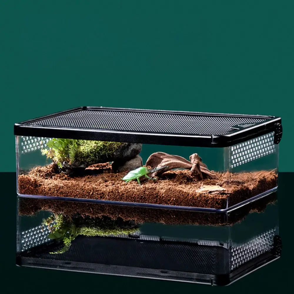 terrário para répteis anti fuga