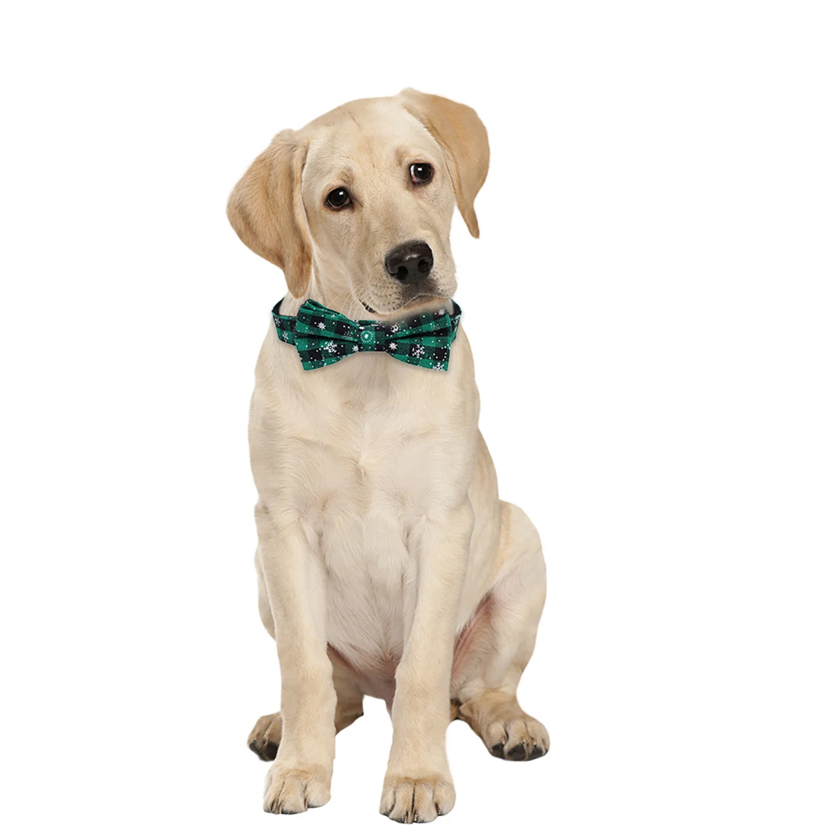 Coleira para Cães e Gatos com Gravata Borboleta Xadrez Ajustável - Imagem 4