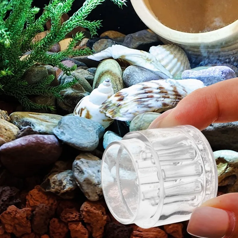 Armadilha para Planárias de Aquário Acrílico 8 Buracos Transparente - Imagem 4