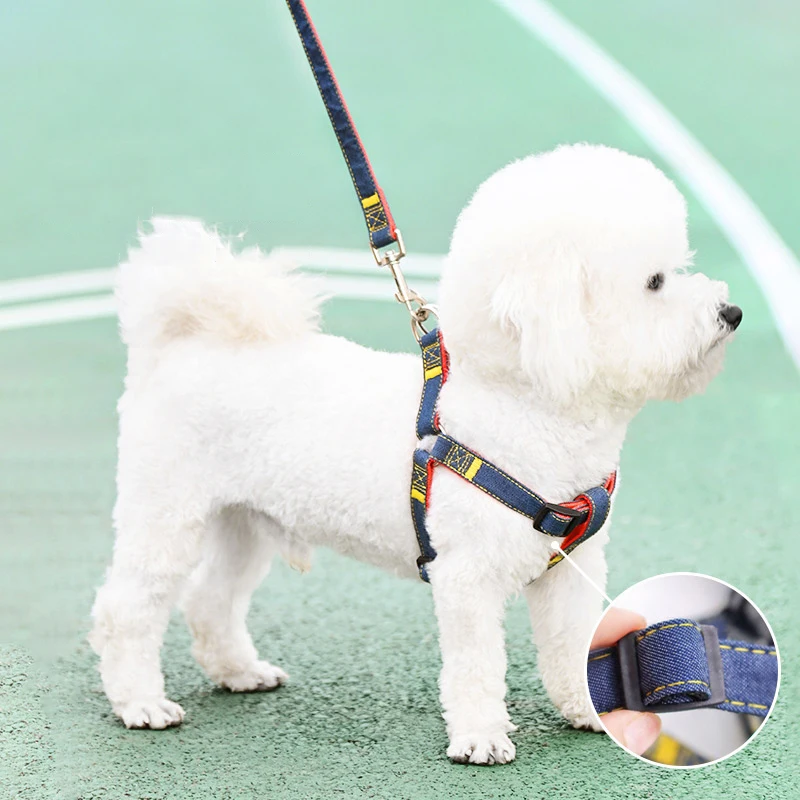 colete peitoral jeans para cães