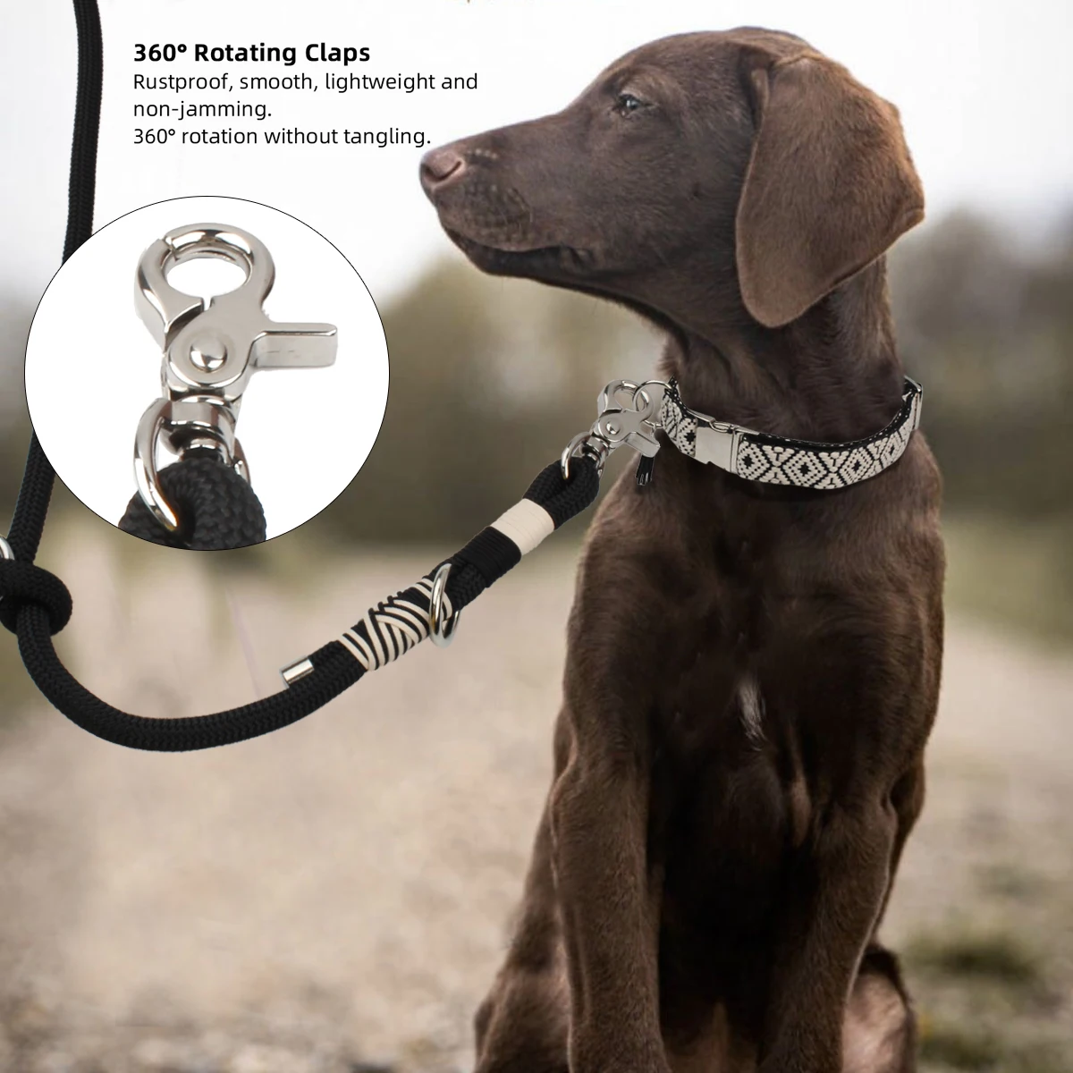 Guia para Cães Grandes e Médios Trançada 2 m com Fivela Dupla - Image 3