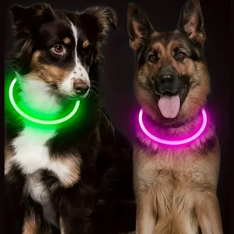 Coleira LED para Cães e Gatos Recarregável USB Luminosa - Image 2