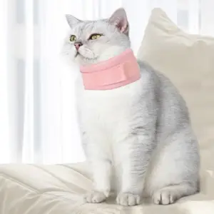 coleira de recuperação para gatos e cães