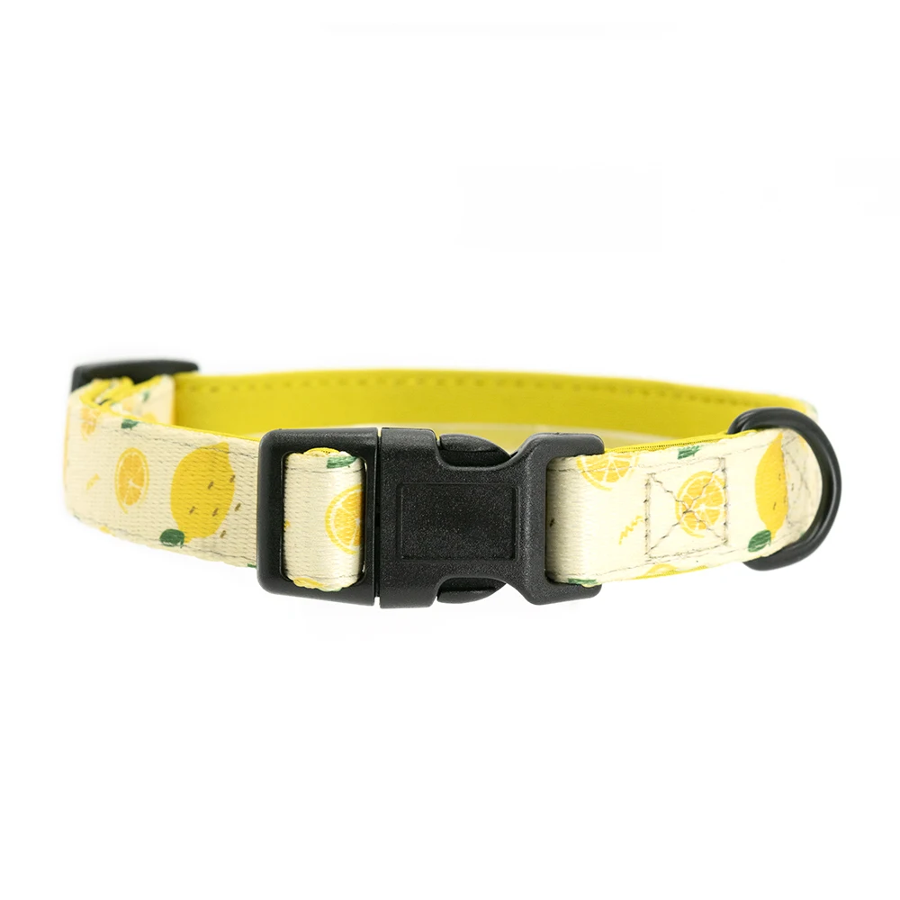 Coleira para Cães Collarlogo com Neoprene e Fivela de Plástico - Image 3