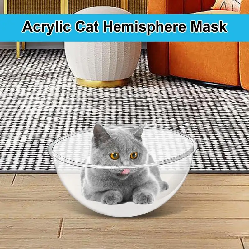 Cama Rede para Gatos de Acrílico Transparente Antirrisco - Imagem 4