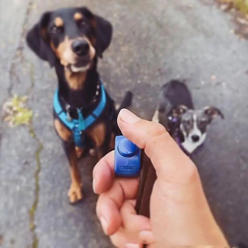 Clicker para Adestramento de Cães e Gatos com Som Claro - Image 5