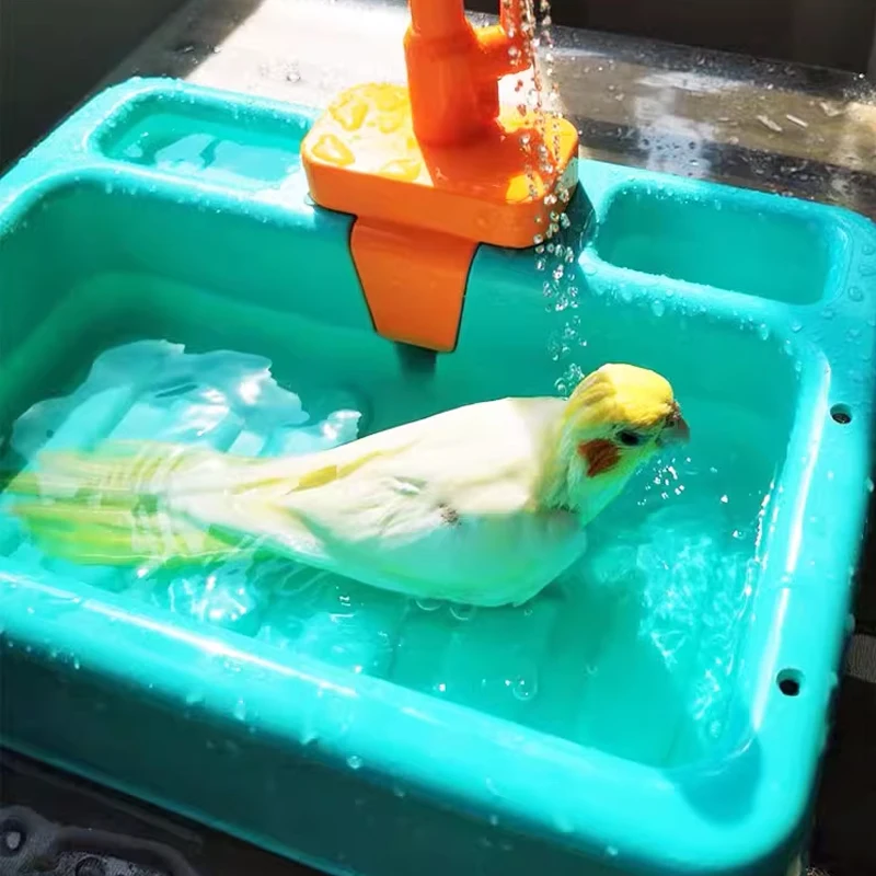 Banheira para Pássaros e Papagaios Verde com Bacia para Banho - Imagem 5