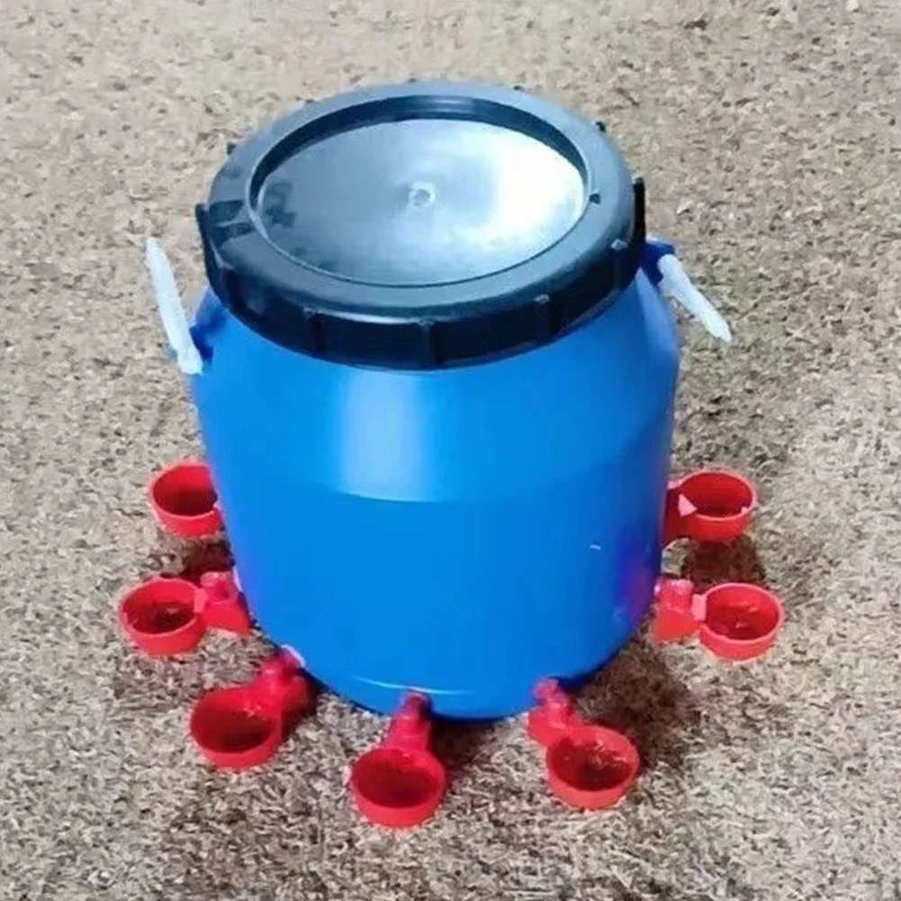 bebedouro automático para aves