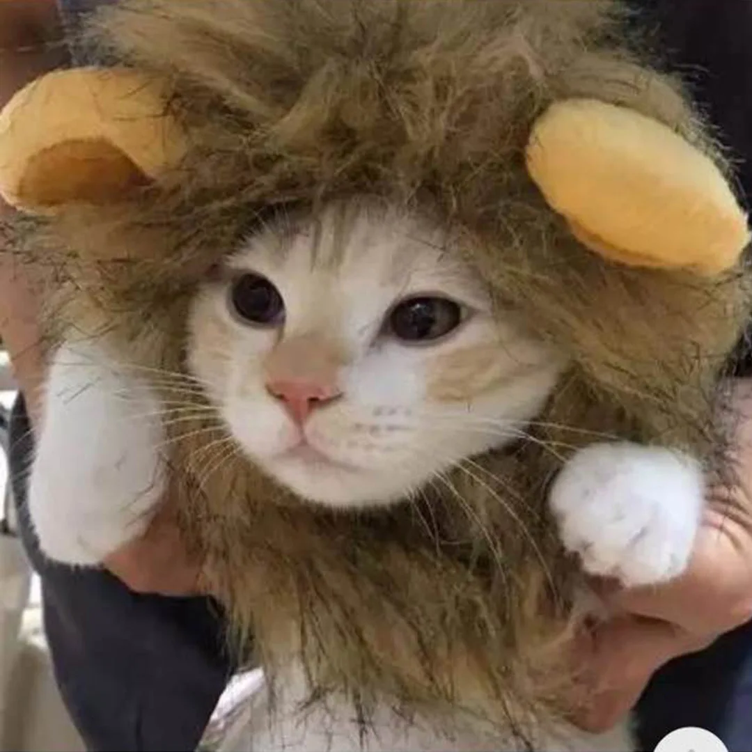 Peruca de Leão para Gatos e Cães Pequenos com Circunferência de 38 cm - Imagem 5