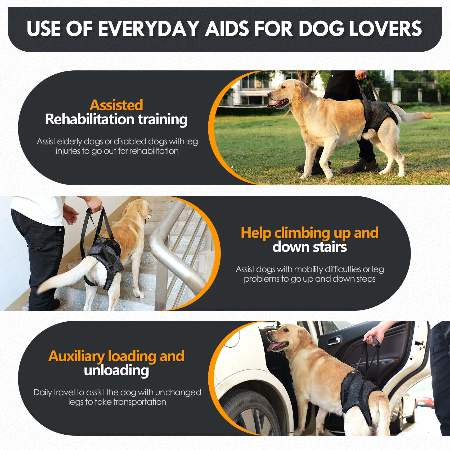Estilingue para Cães Grandes Suporte para Patas Traseiras - Imagem 5