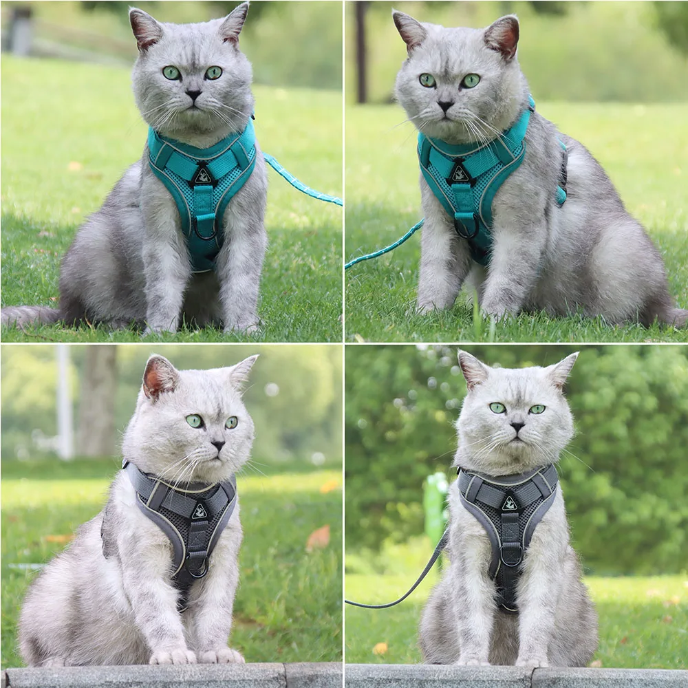 Conjunto de Arnês e Trela para Cães Pequenos de Poliéster Ajustável - Imagem 6