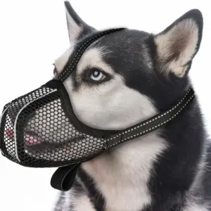 focinheira cesta para cães