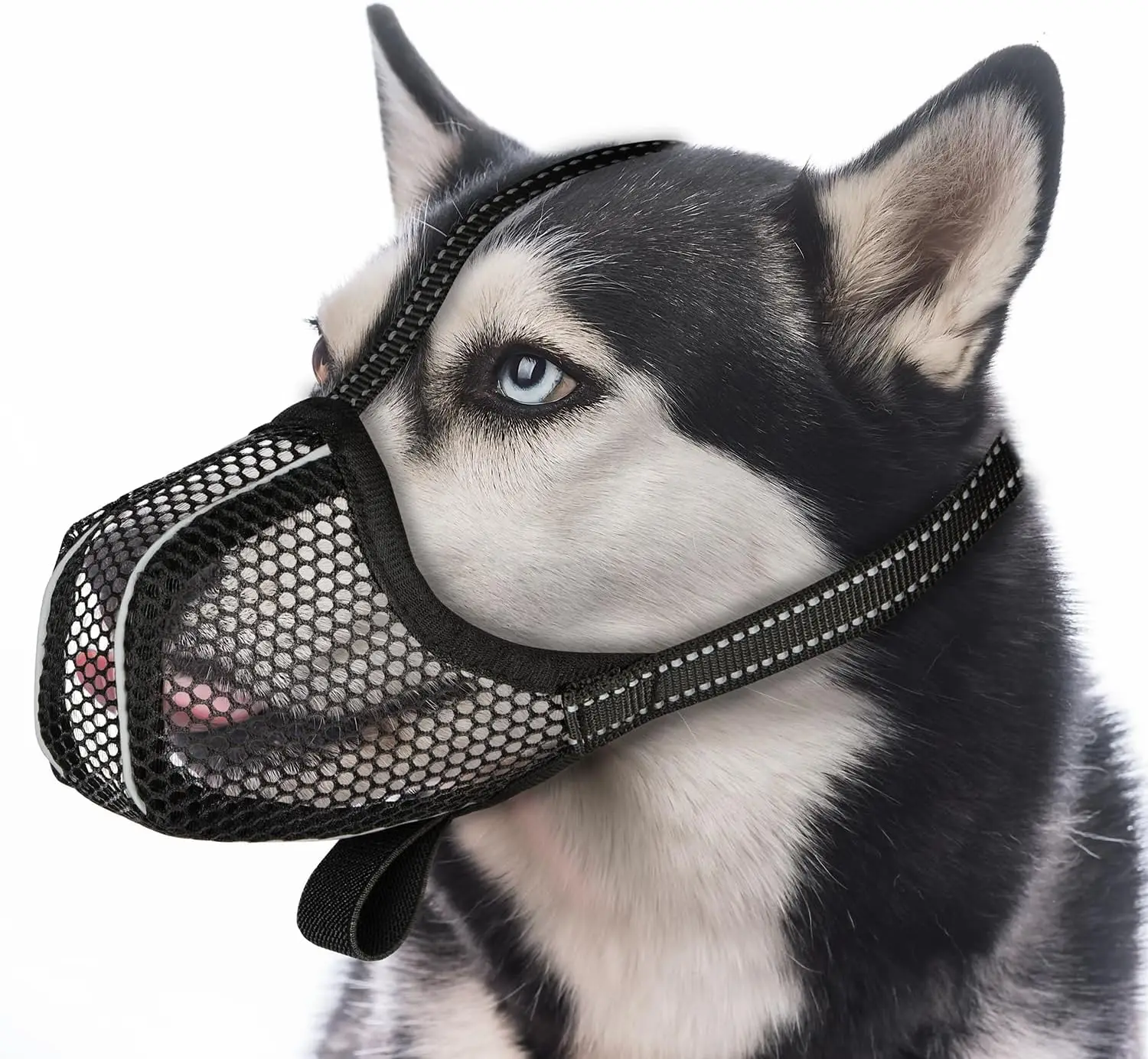 focinheira cesta para cães