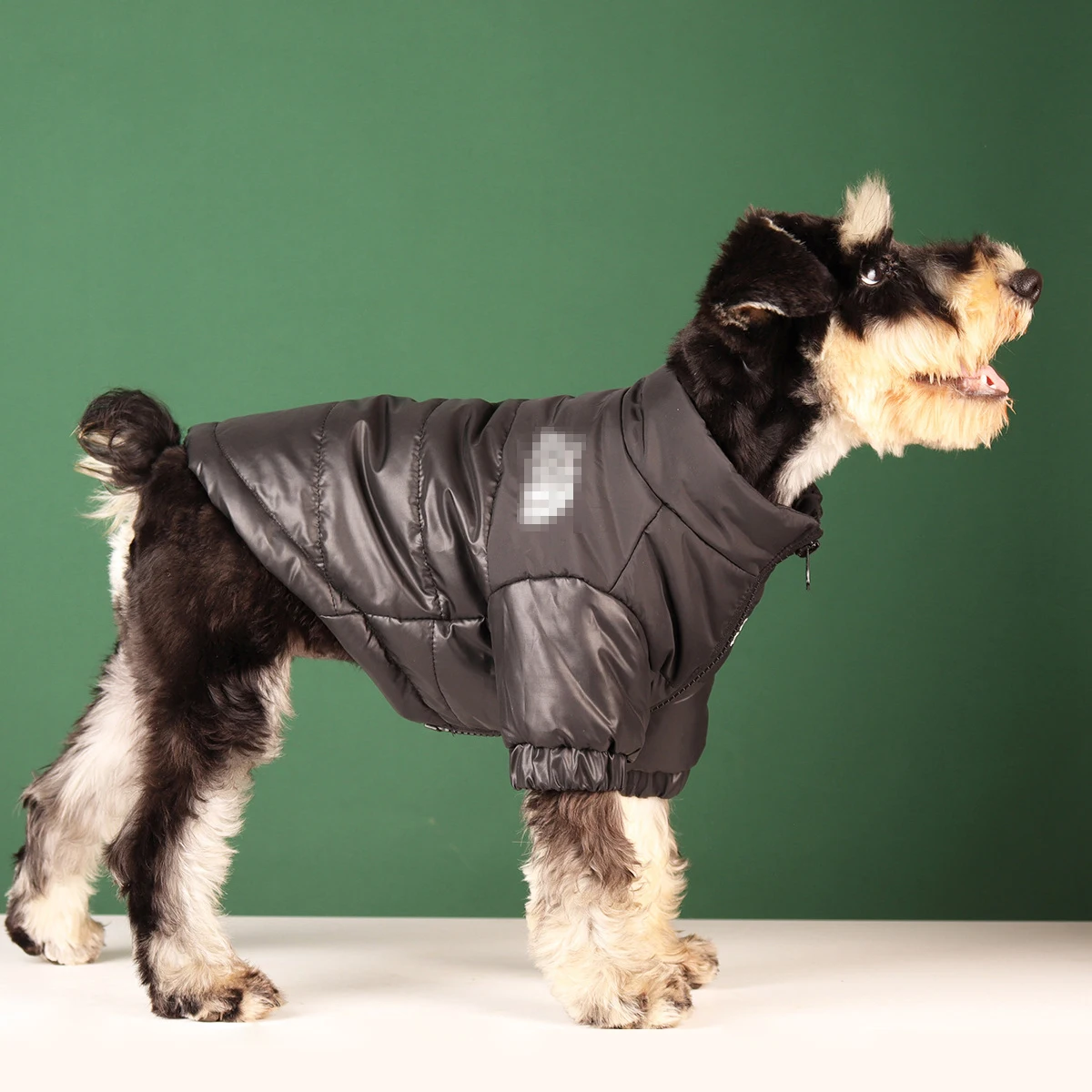 Casaco para Cães de Poliéster com Camada Interna Espessada - Imagem 5
