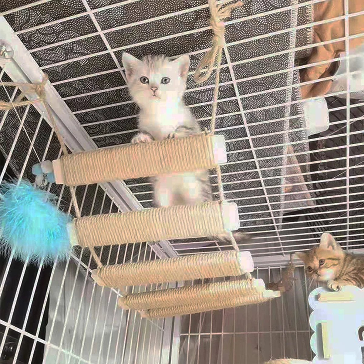 Escada para Gatos de Madeira e Sisal de 50 cm para Escalada - Imagem 2
