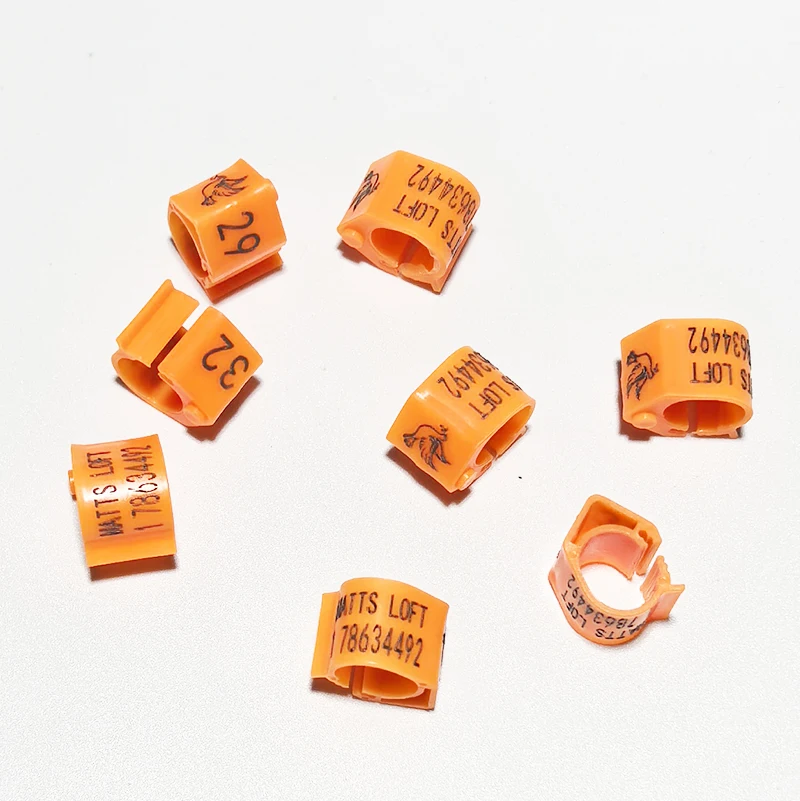Anel de Identificação para Pombos com Nome e Número Personalizável - Imagem 4