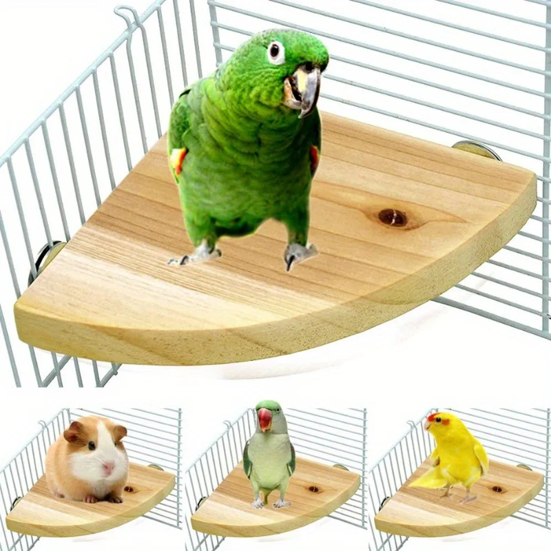 Plataforma de Madeira para Pássaros e Hamsters 13x13 cm com Parafusos - Image 3