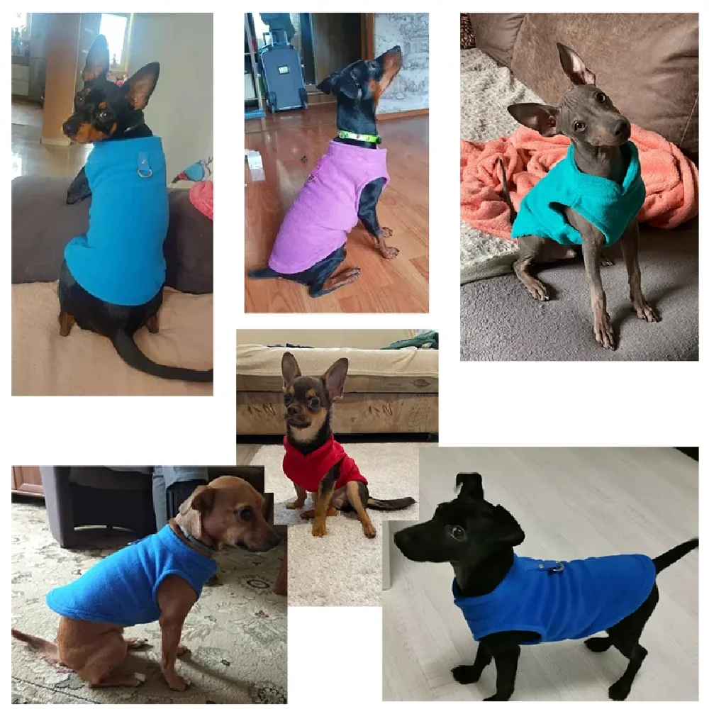 Colete de Lã para Cães e Gatos Macio com Anel para Guia - Imagem 3