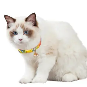 coleira charm and bell para cães e gatos