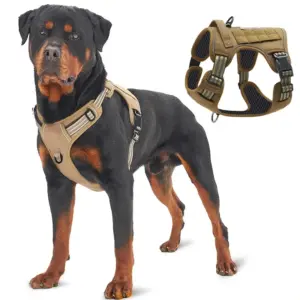 colete tático militar para cães grandes