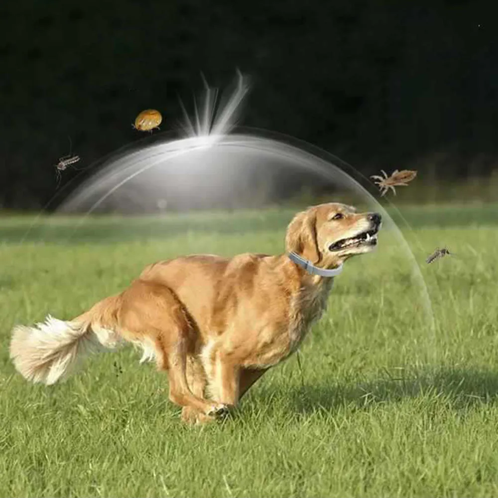 Coleira Retrátil para Cães e Gatos de Silicone Macio 38/70cm - Imagem 2