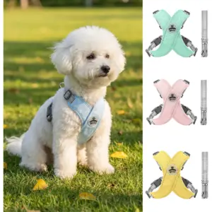 conjunto coleira e guia para cães ajustável