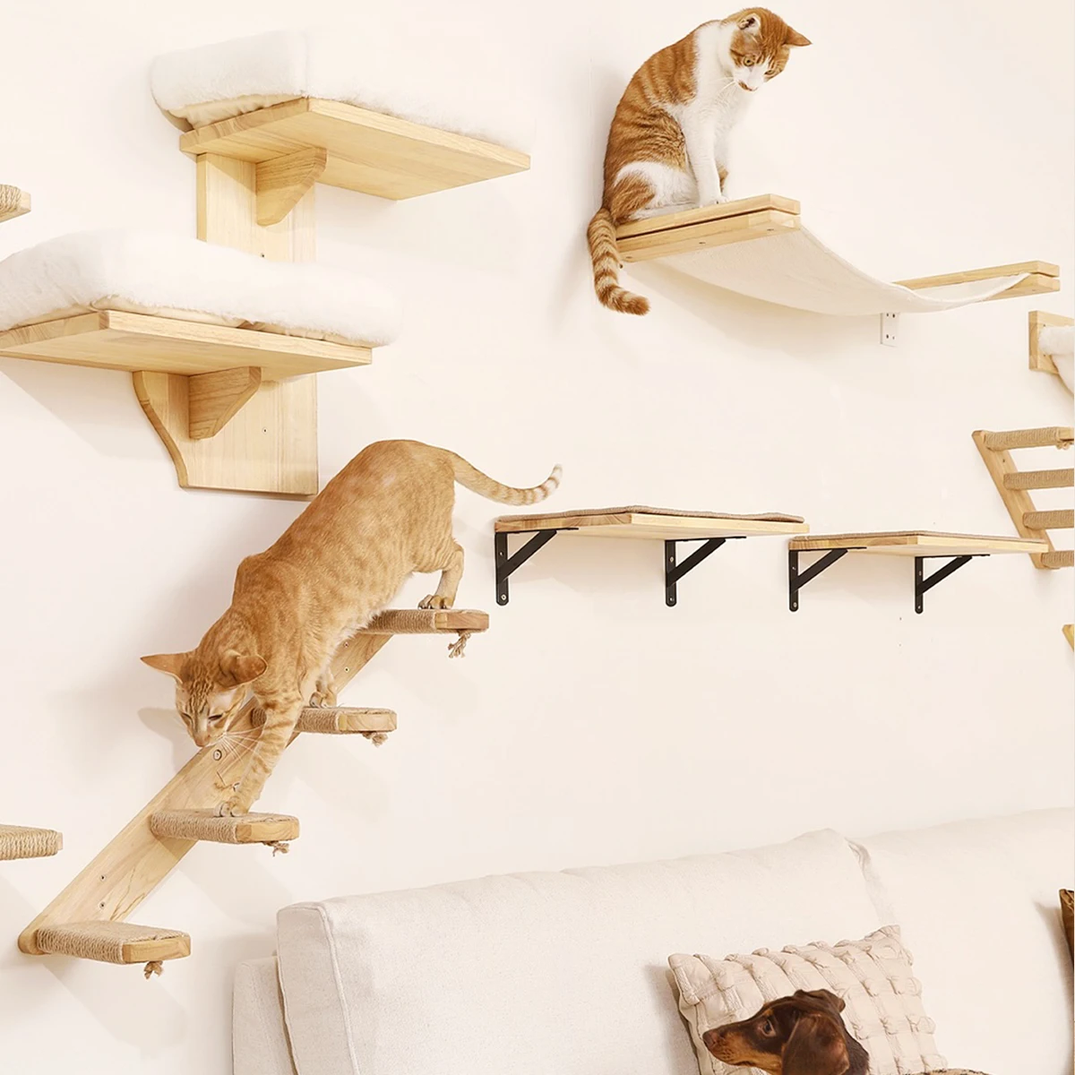 Rede de Escalada para Gatos de Madeira Maciça com Fixação na Parede - Imagem 2
