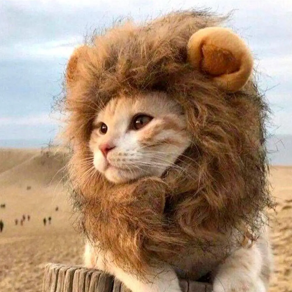 peruca de leão para gatos