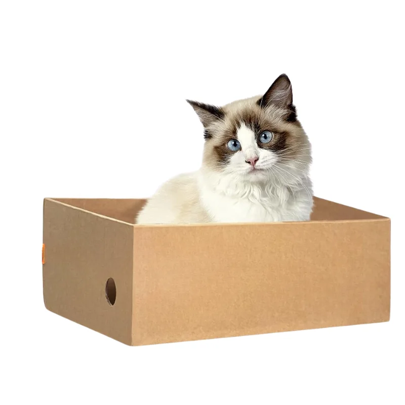 Caixa de Papelão para Gatos Arranharem 4 Unidades - Imagem 2