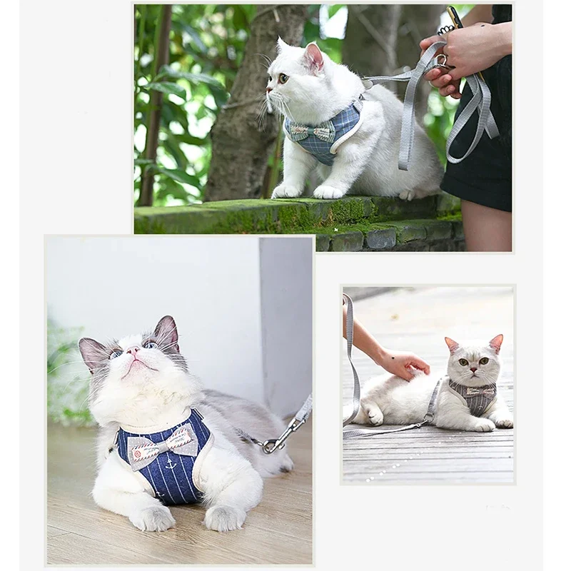 Coleira Peitoral com Guia para Gatos de Nylon Ajustável - Imagem 6