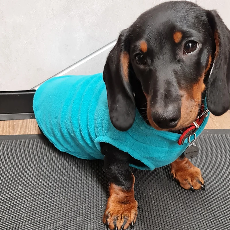 Colete de Lã para Cães Pequenos e Médios Quente - Imagem 3